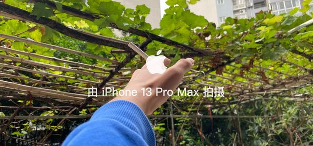 文百百头像