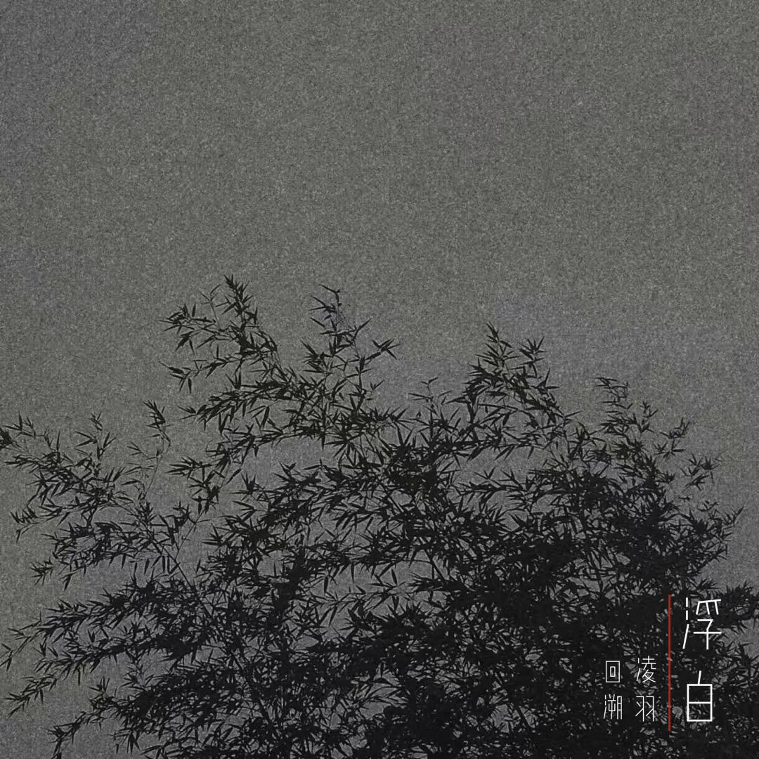 浮白封面