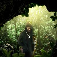 Big Jungle资料,Big Jungle最新歌曲,Big JungleMV视频,Big Jungle音乐专辑,Big Jungle好听的歌