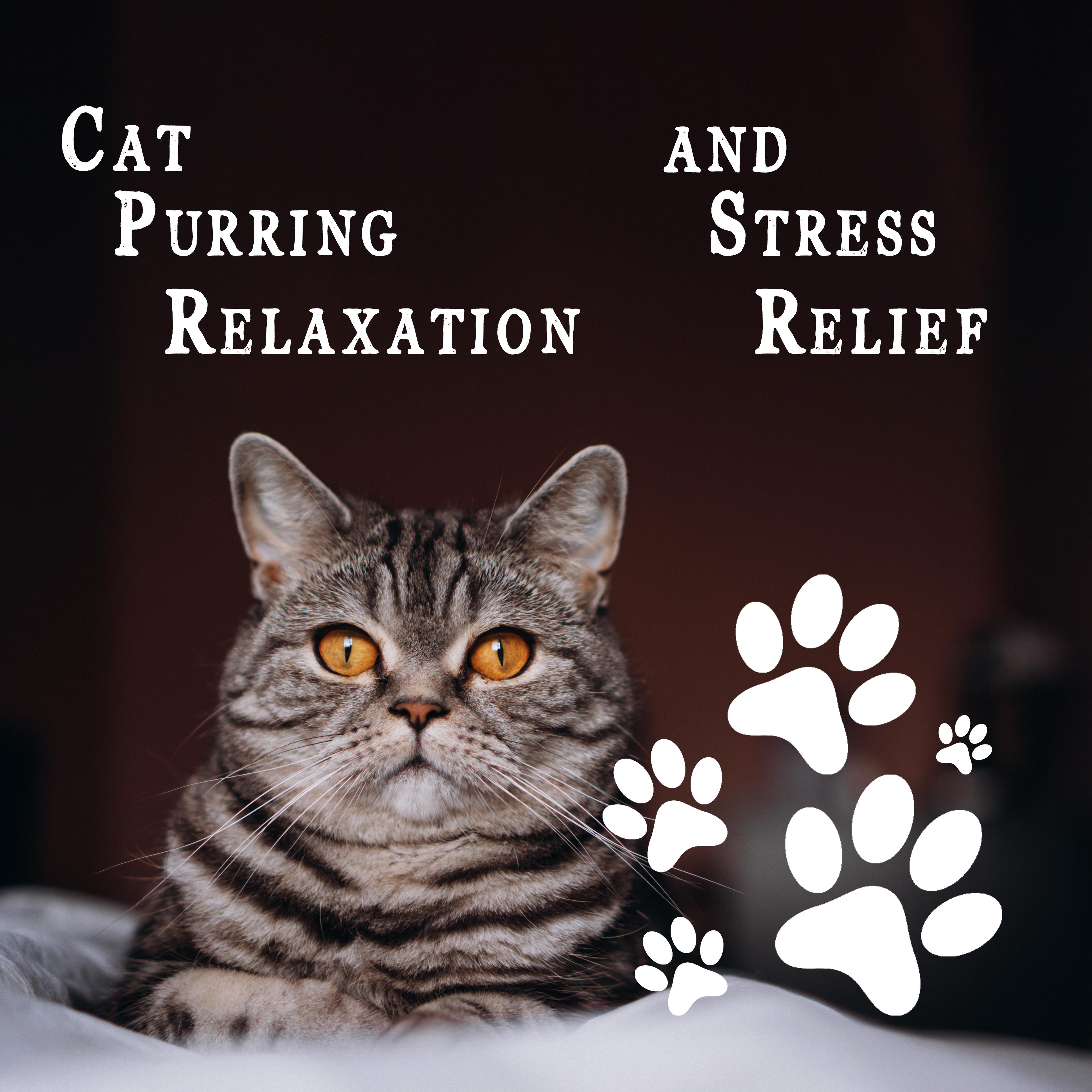  Understanding Why Your Cat Is Not Purring Anymore: Common Causes and Solutions