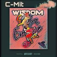 Wisdom For Everyone