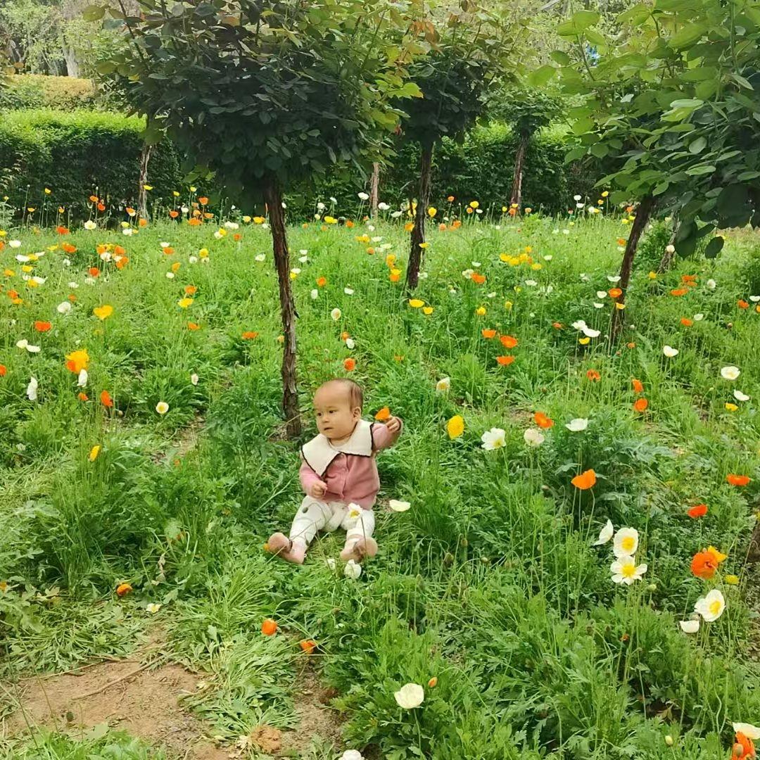 答案封面