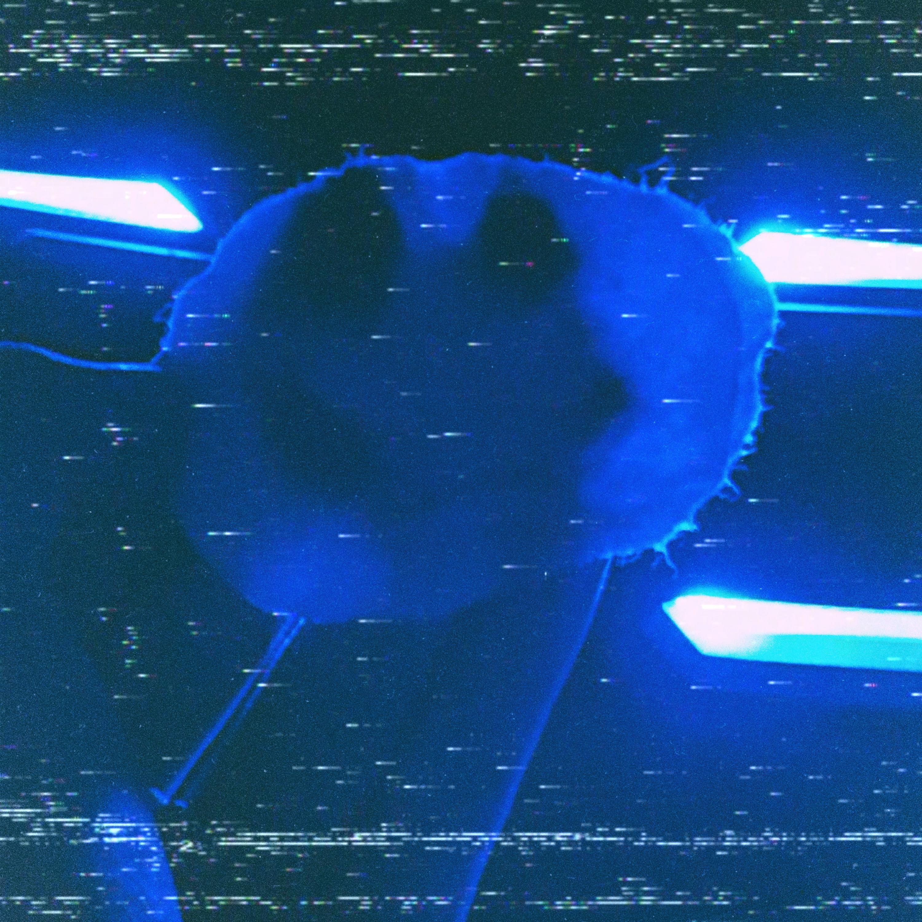 Madhouse (Introduction)