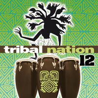 Tribal Nation 12