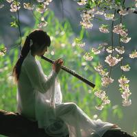 Zen Classical Melodies