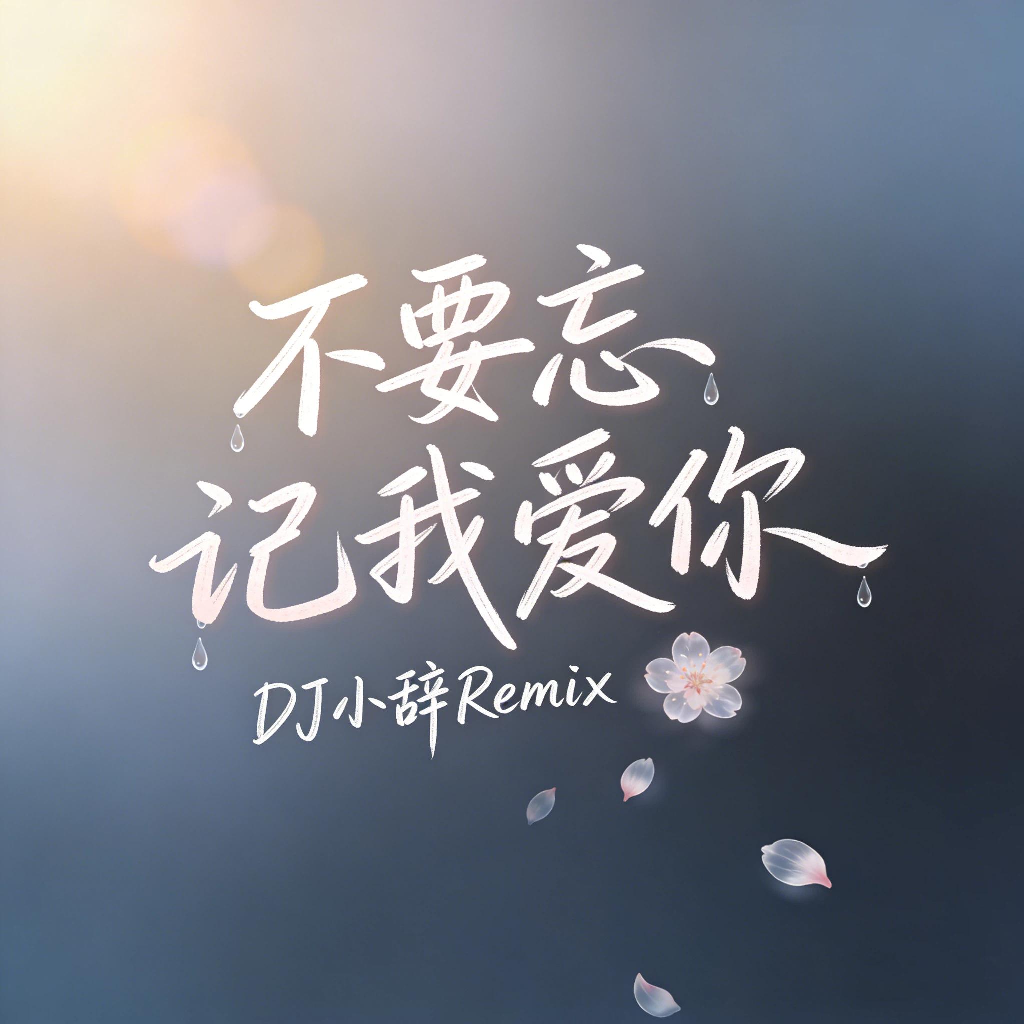 不要忘记我爱你 (DJ版)封面