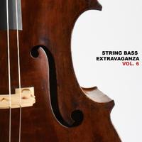 String Bass Extravagaza, Vol. 6