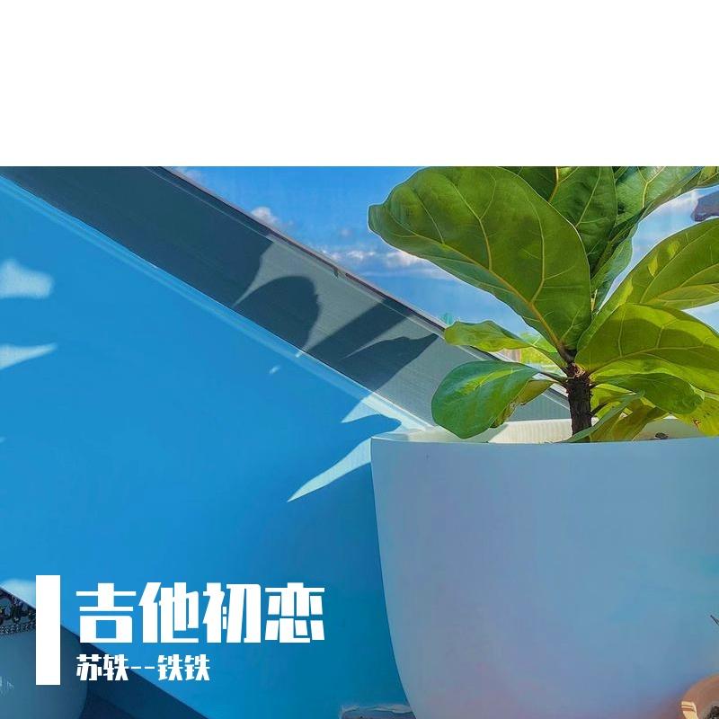 吉他初恋封面