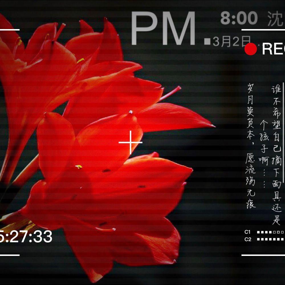 梦在黎明破晓时封面