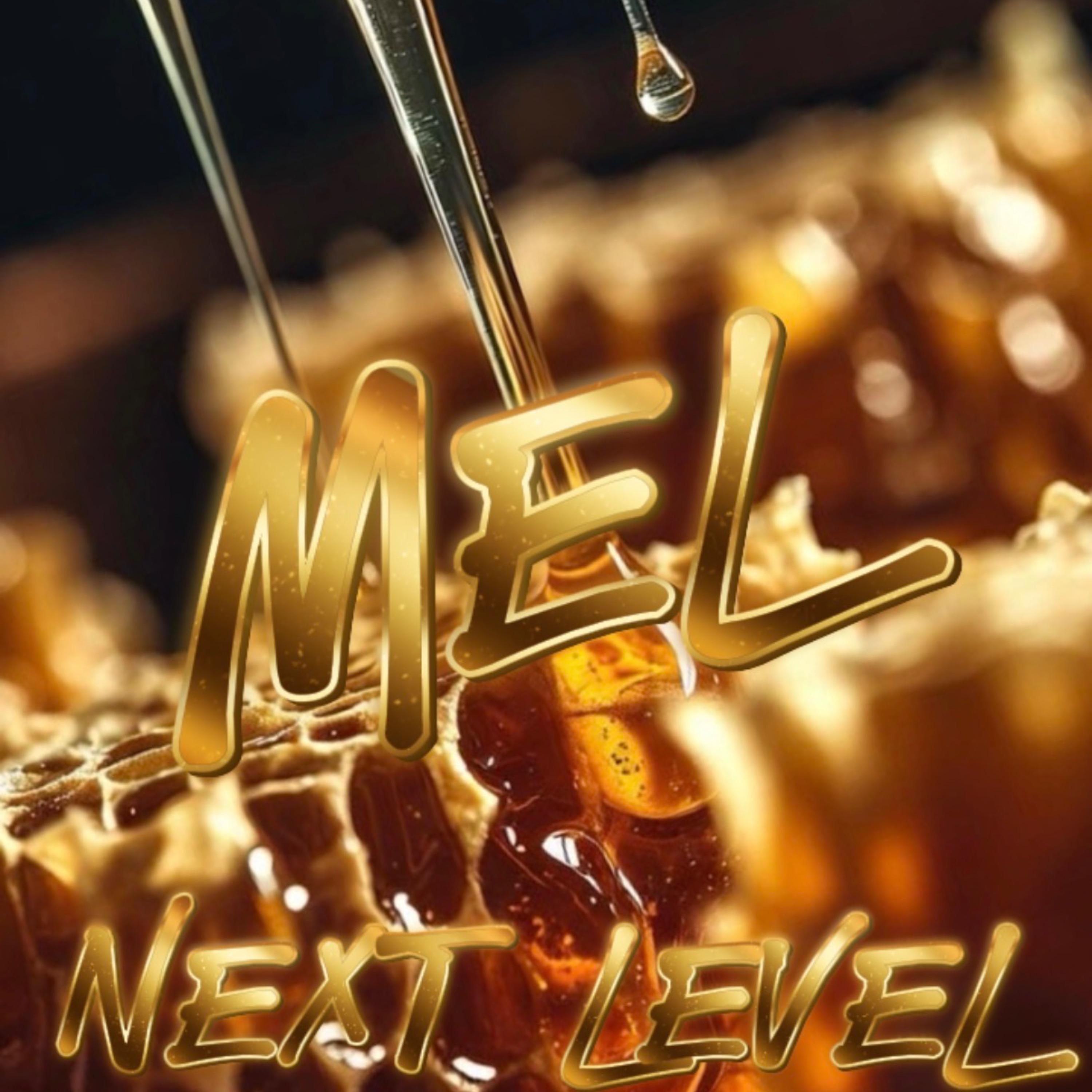 Mel (feat. Théo kun, A’z & Ronny Dínamo)