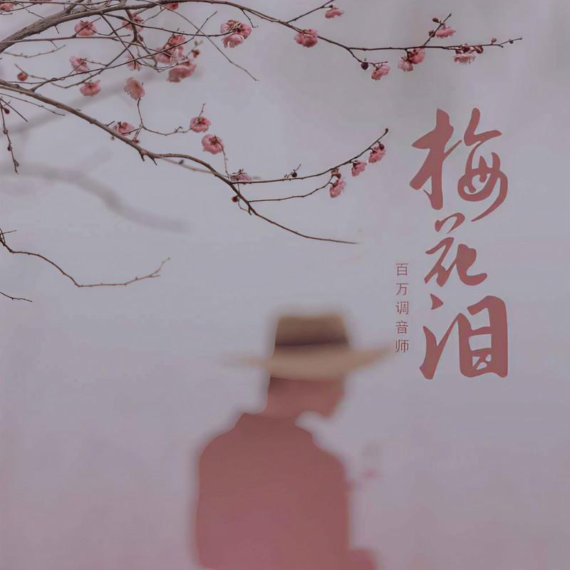梅花泪 (钢琴曲珍藏版)封面