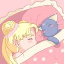 伴你入眠：献给劳累了一天的你