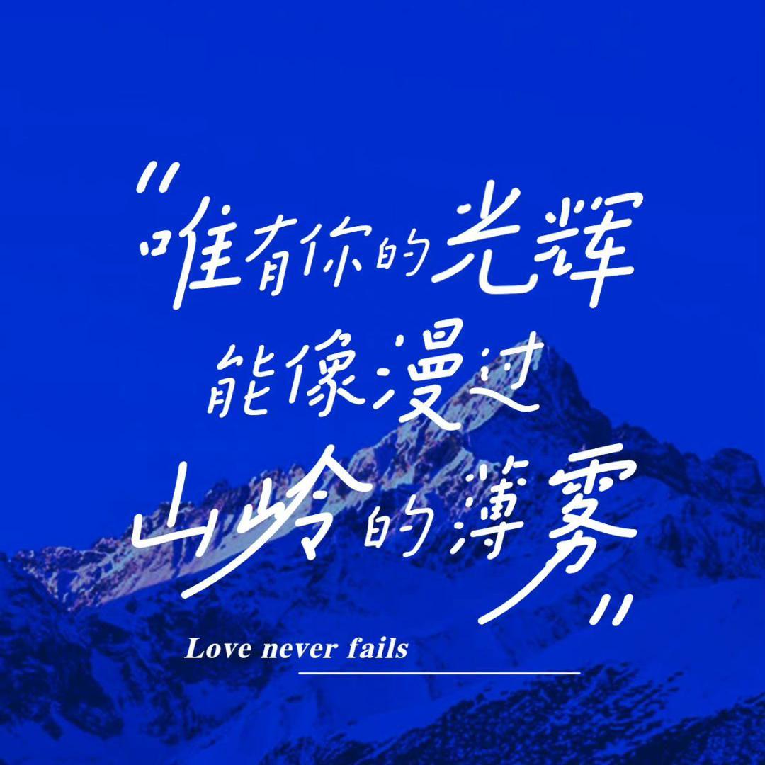 流川枫与苍井空封面