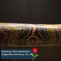 Relaxing Tribal Meditation Didgeridoo Harmony, Vol. 01