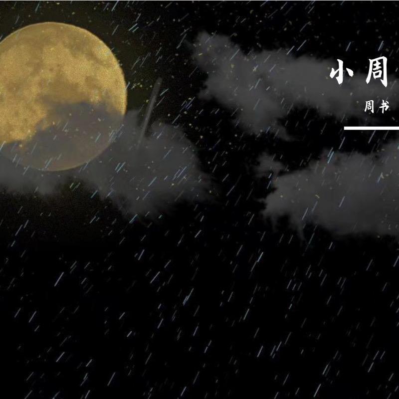 穿长风衣的男孩封面