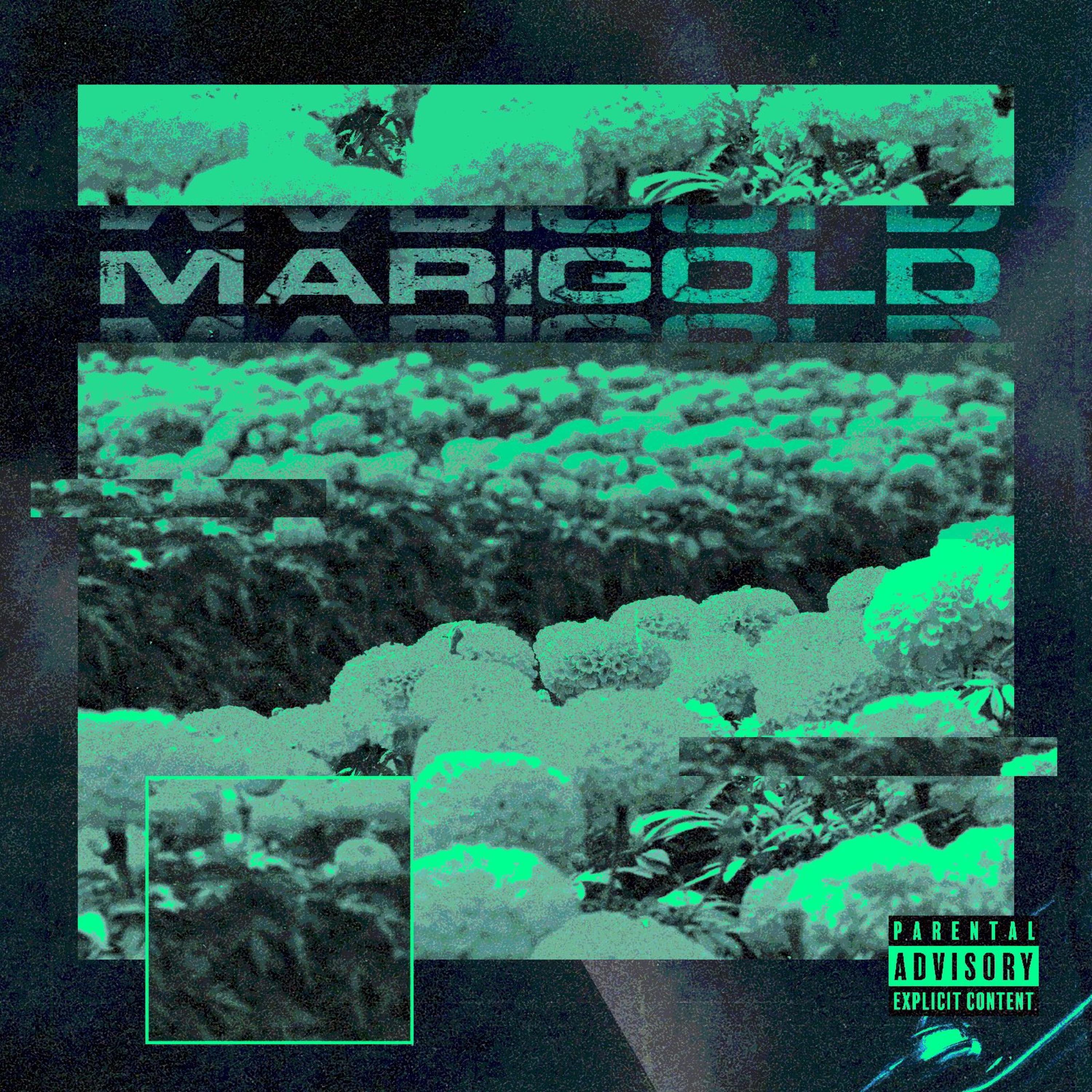 Marigold (feat. MICHAEL DILLEMA & dubiinekk)