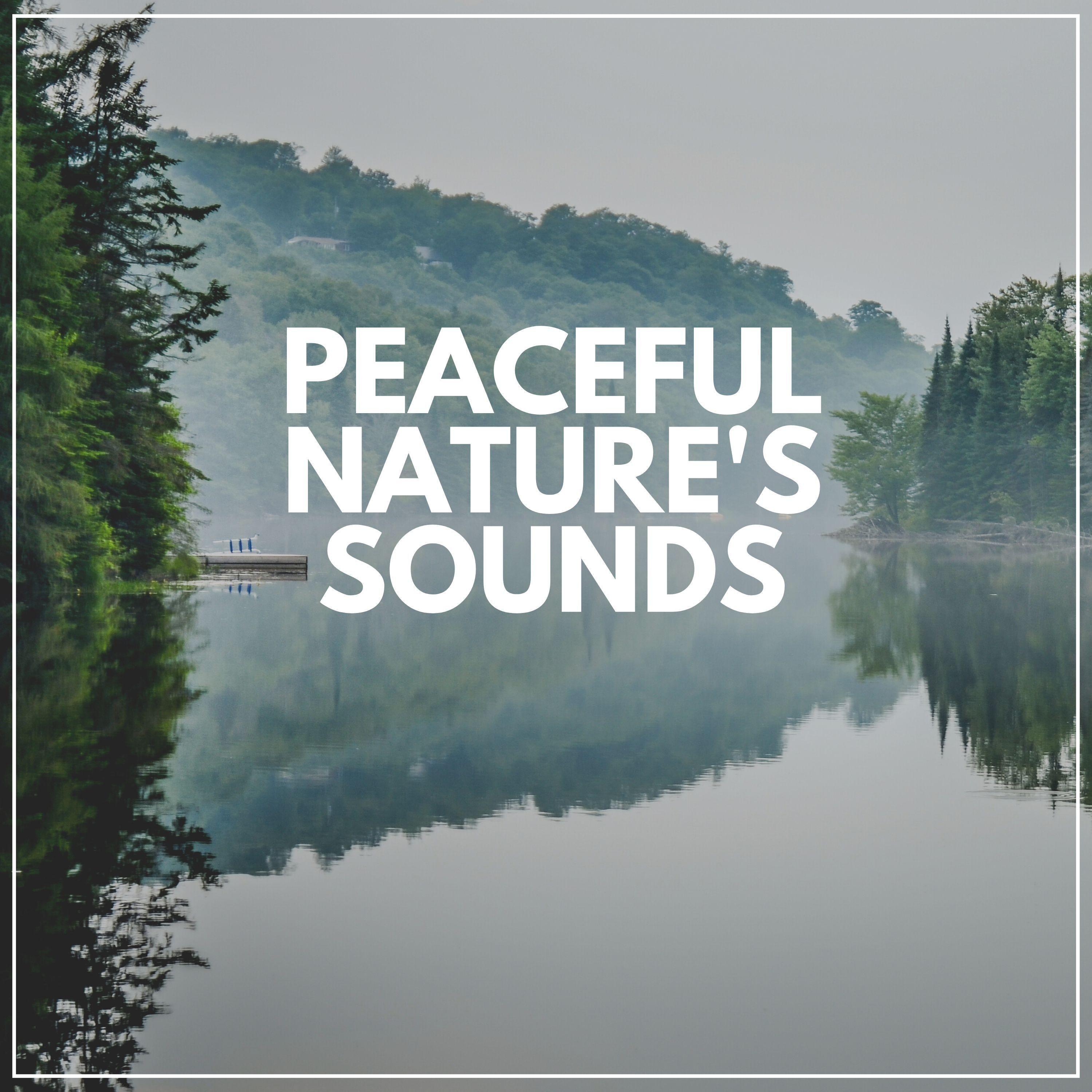 17.  Global Sounds: Music From Around The World - 21ki0p9