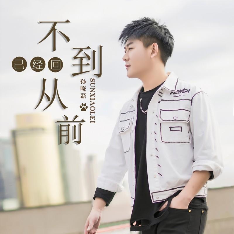 已经回不到从前 (DJ版)封面
