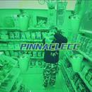 PINNACLECC