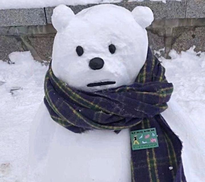 王嘉懿