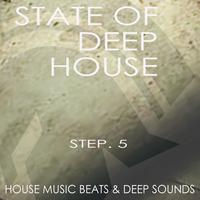 State of Deep House - Step.5