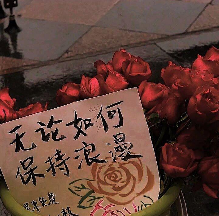 期待全落空封面
