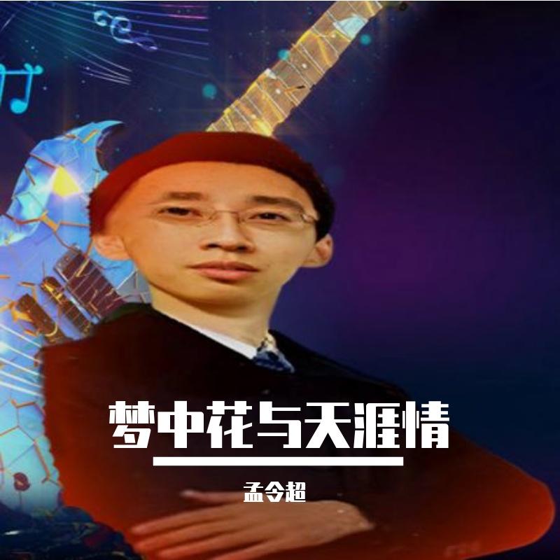 梦中花与天涯情封面