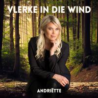 Vlerke In Die Wind