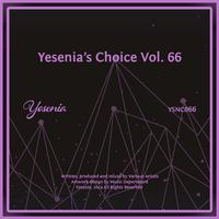 Yesenia's Choice Vol. 67