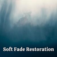 Soft Fade Restoration - 2 hours