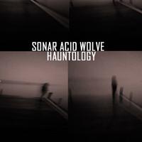 Sonar Acid Wolve