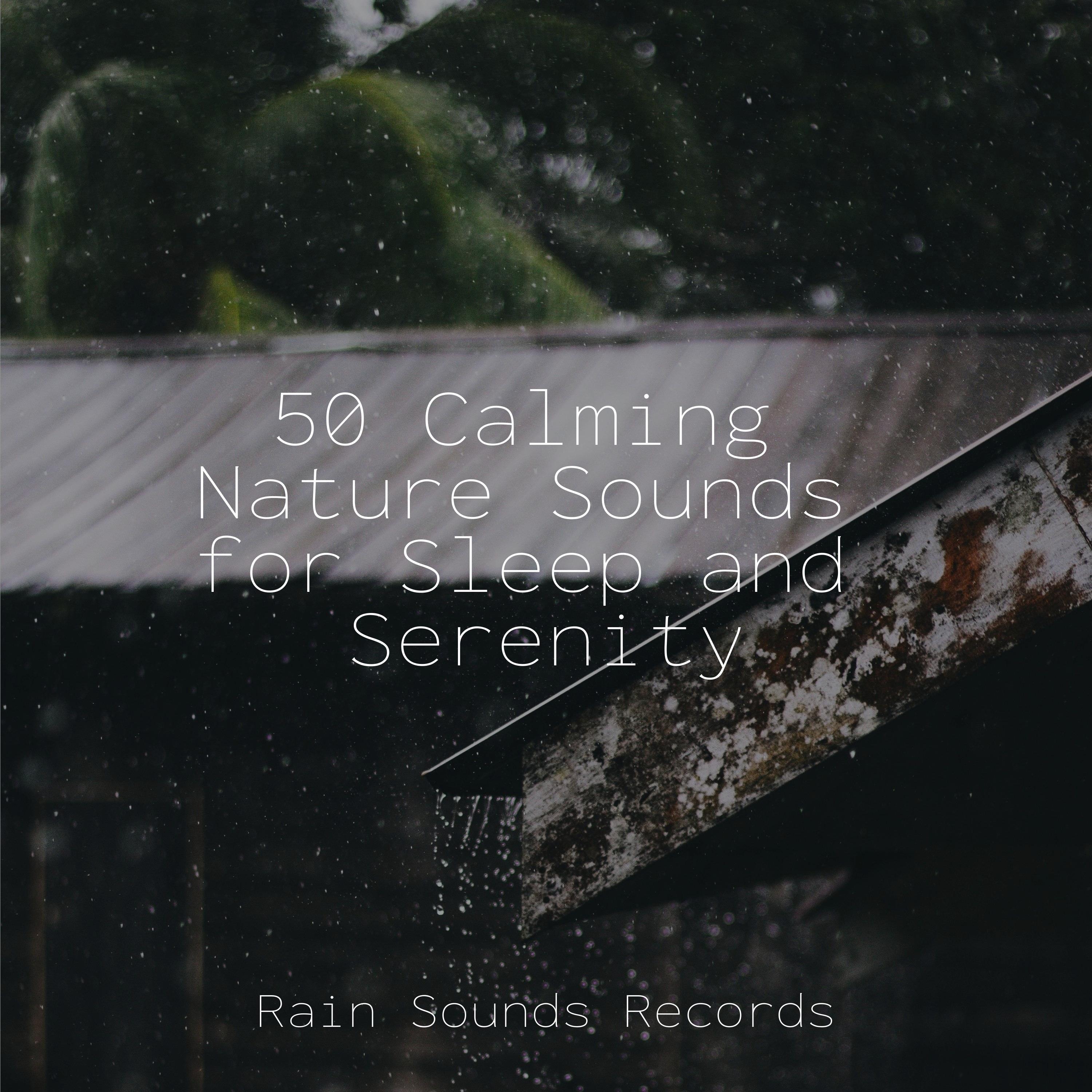 50 Calming Nature Sounds for Sleep and Serenity - Sleep Sounds of ...