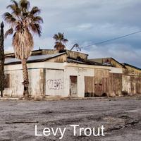 Levy Trout资料,Levy Trout最新歌曲,Levy TroutMV视频,Levy Trout音乐专辑,Levy Trout好听的歌