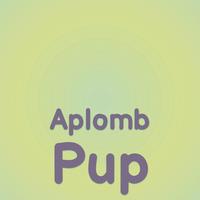 Aplomb Pup