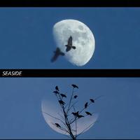 幻音墨客资料,幻音墨客最新歌曲,幻音墨客MV视频,幻音墨客音乐专辑,幻音墨客好听的歌