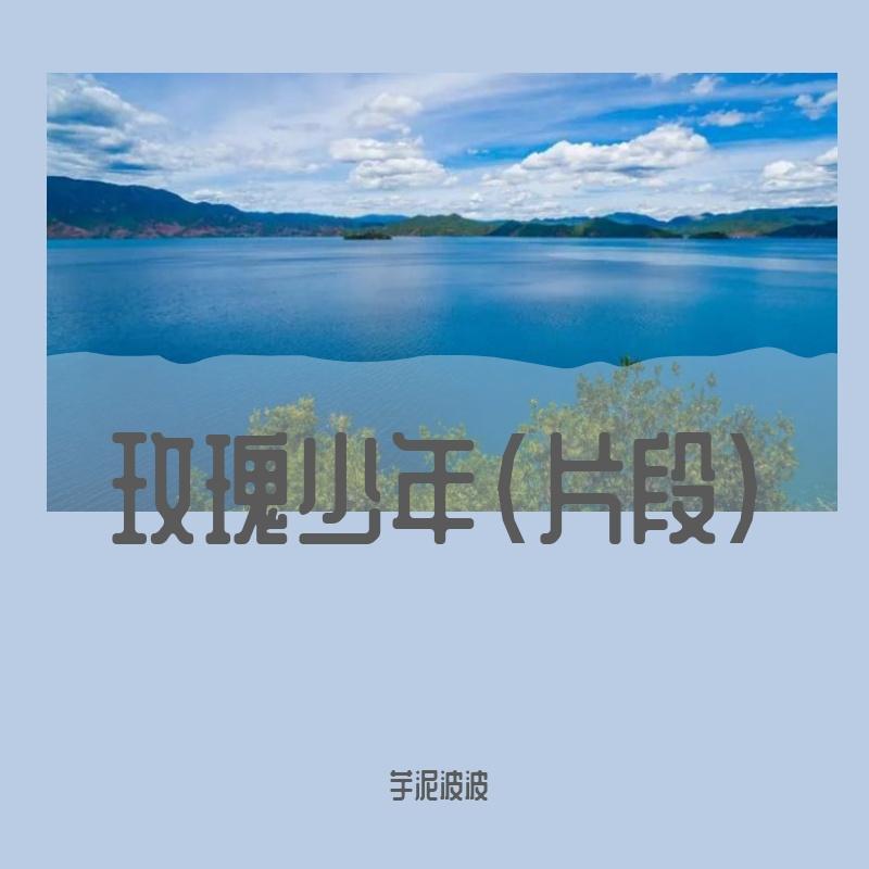 玫瑰少年封面
