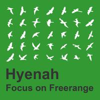 Focus On Freerange:  Hyenah