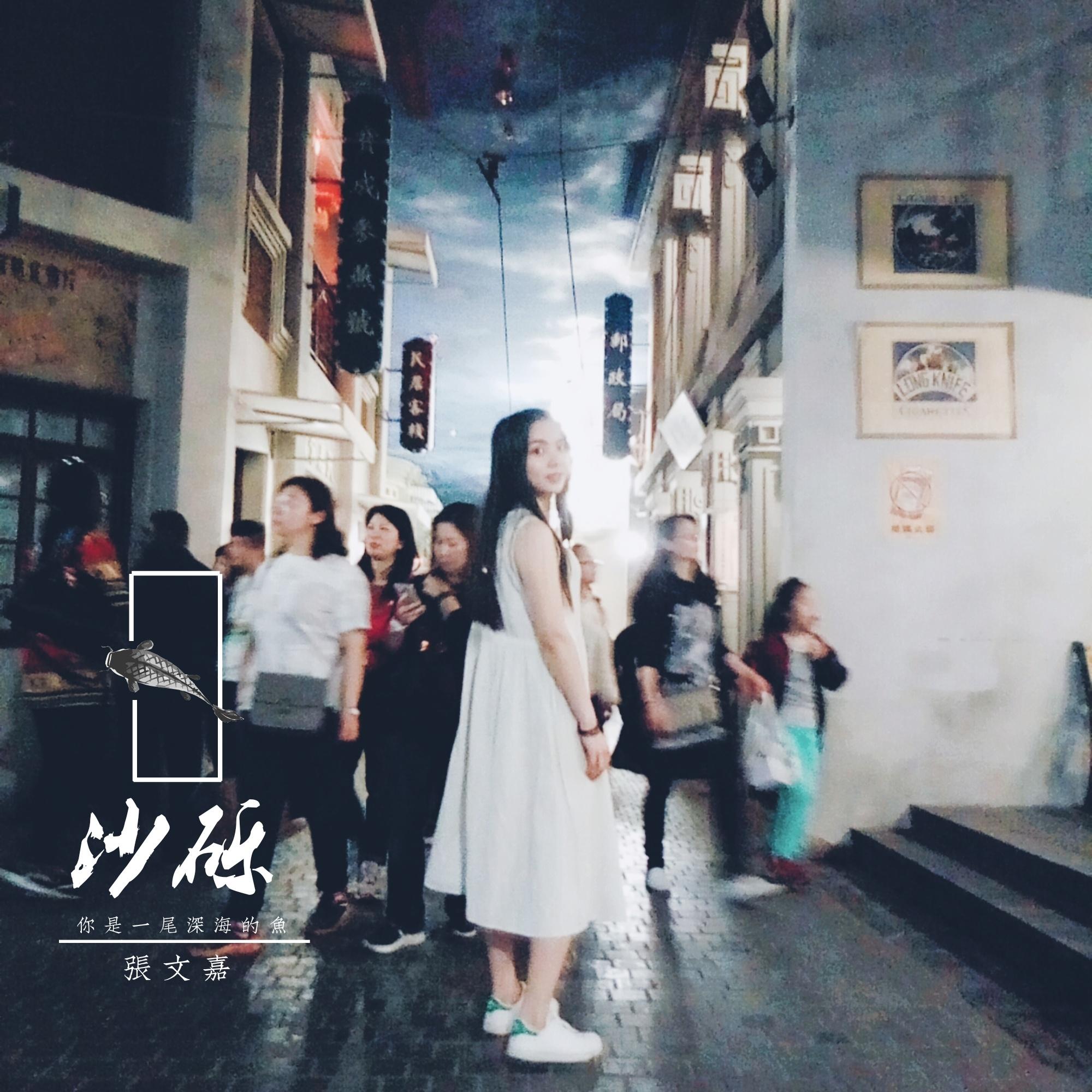 沙砾封面