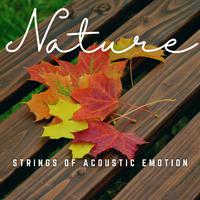 Strings of Acoustic Emotion: Soulful Reverie