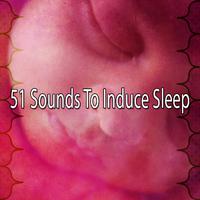 51 Sounds to Induce Sleep