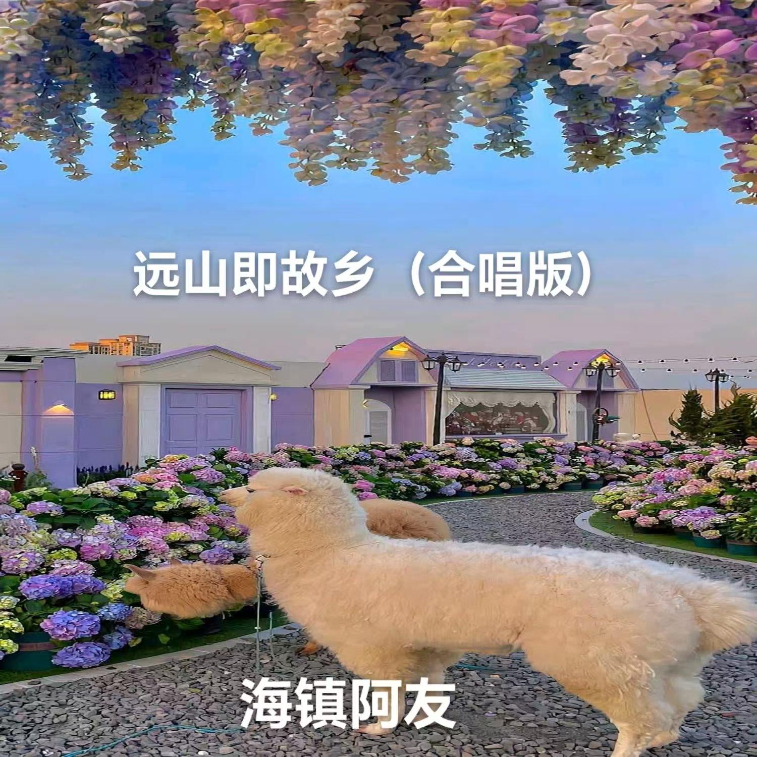 远山即故乡(合唱版) - 海镇阿友封面
