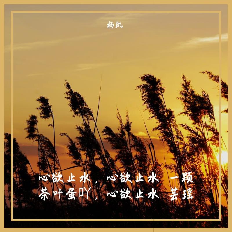 心欲止水封面