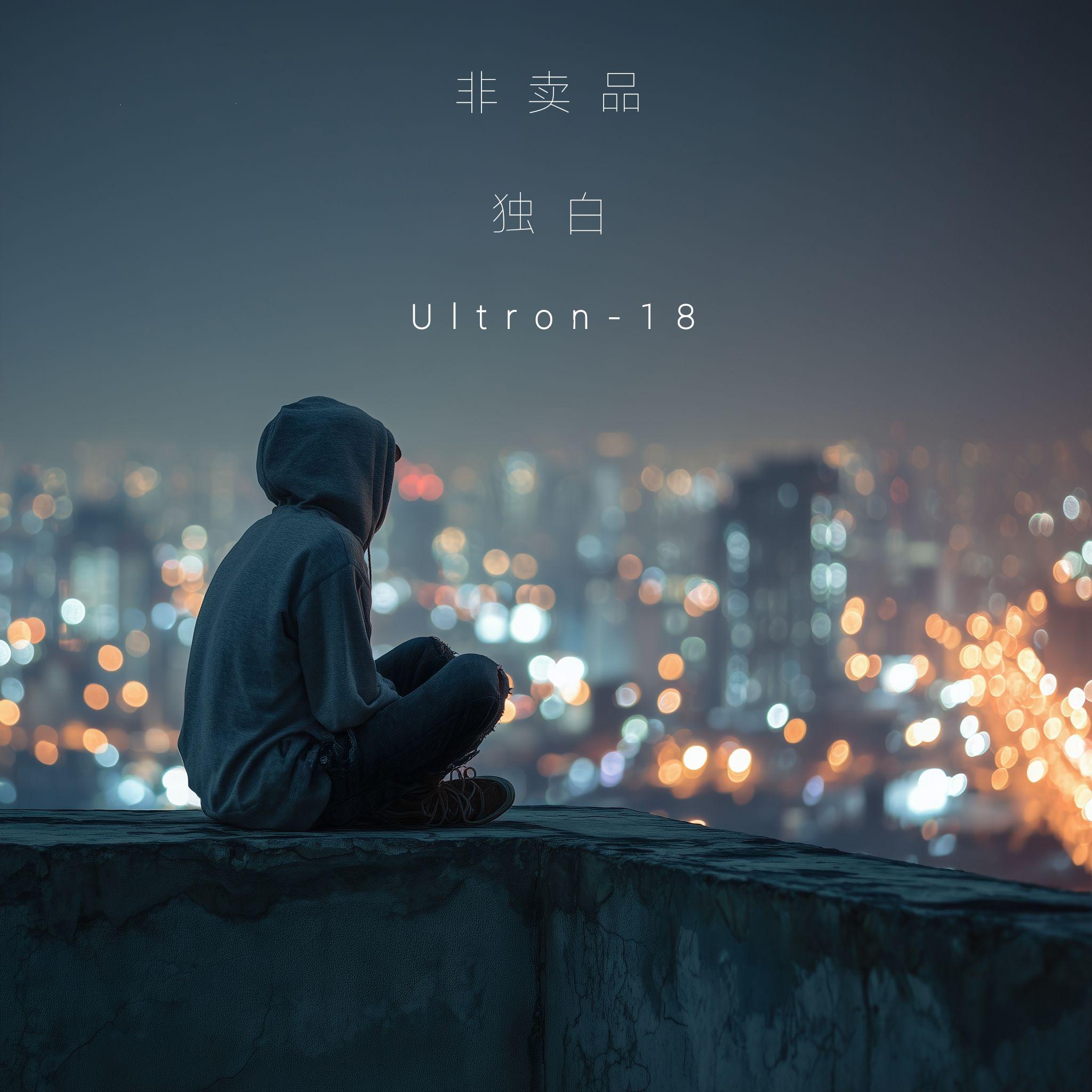 流浪的星光封面