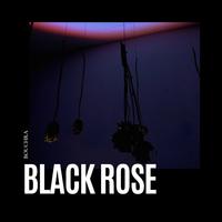 BLACK ROSE