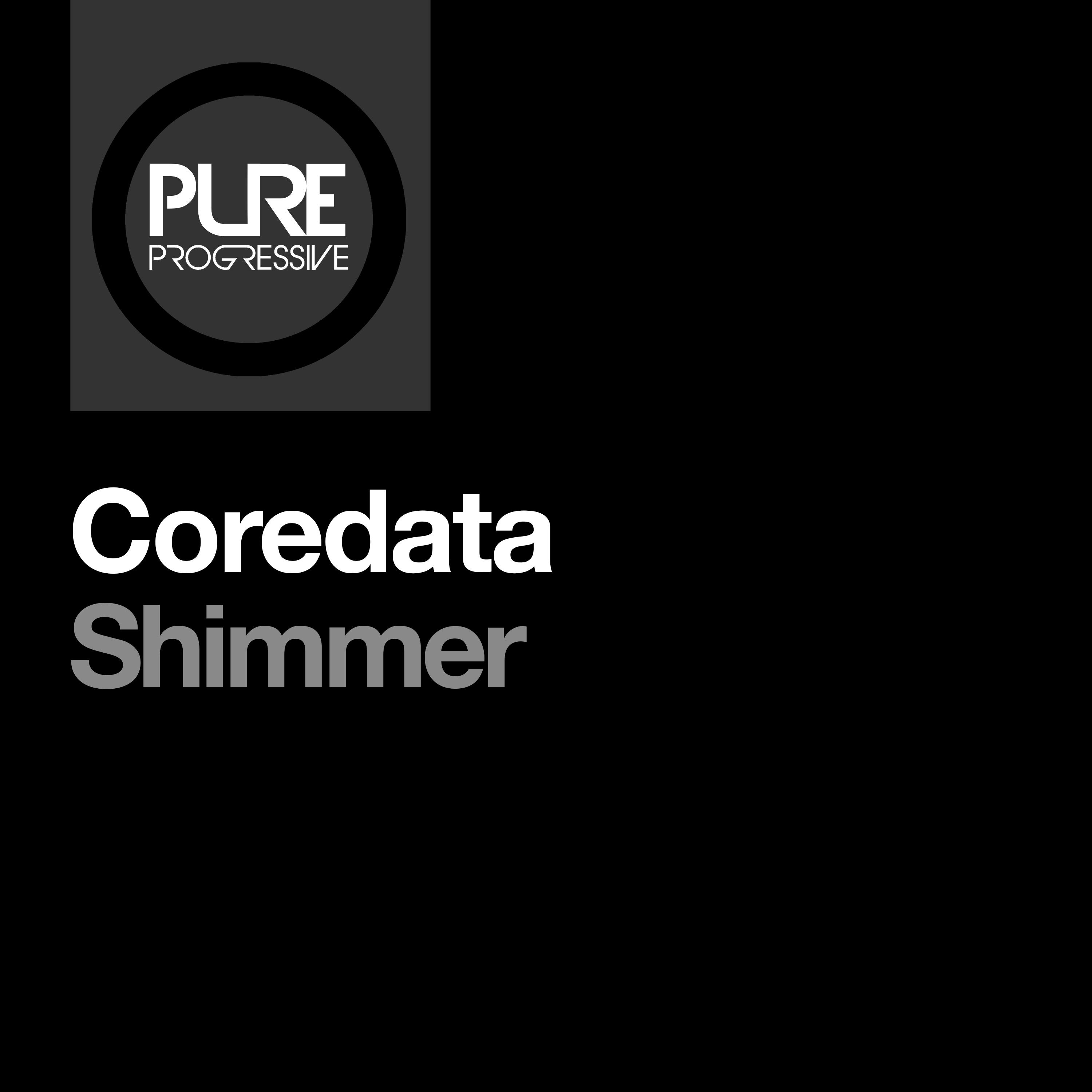 Shimmer (Extended Mix)