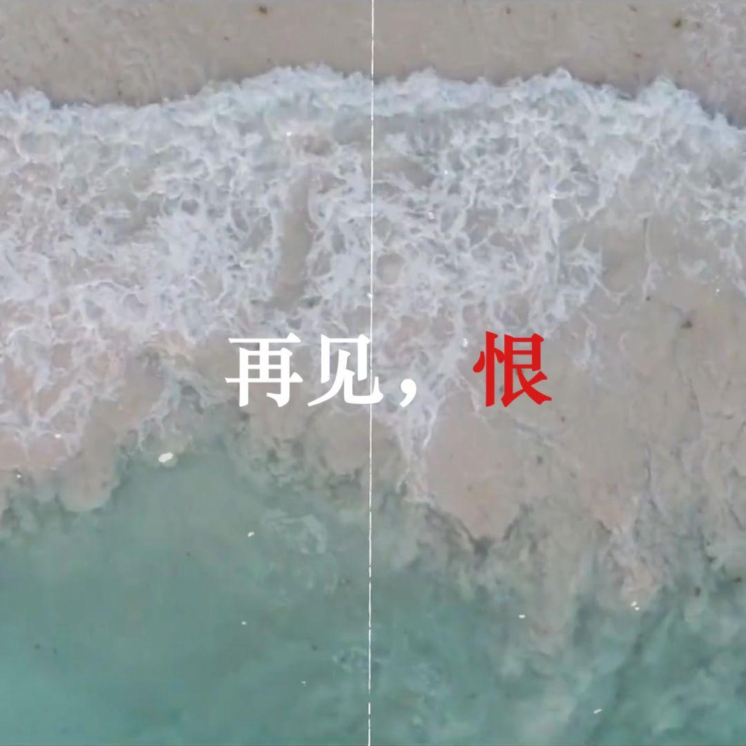 再见了，我以恨意为燃料的人生...
