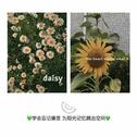 风中无回声