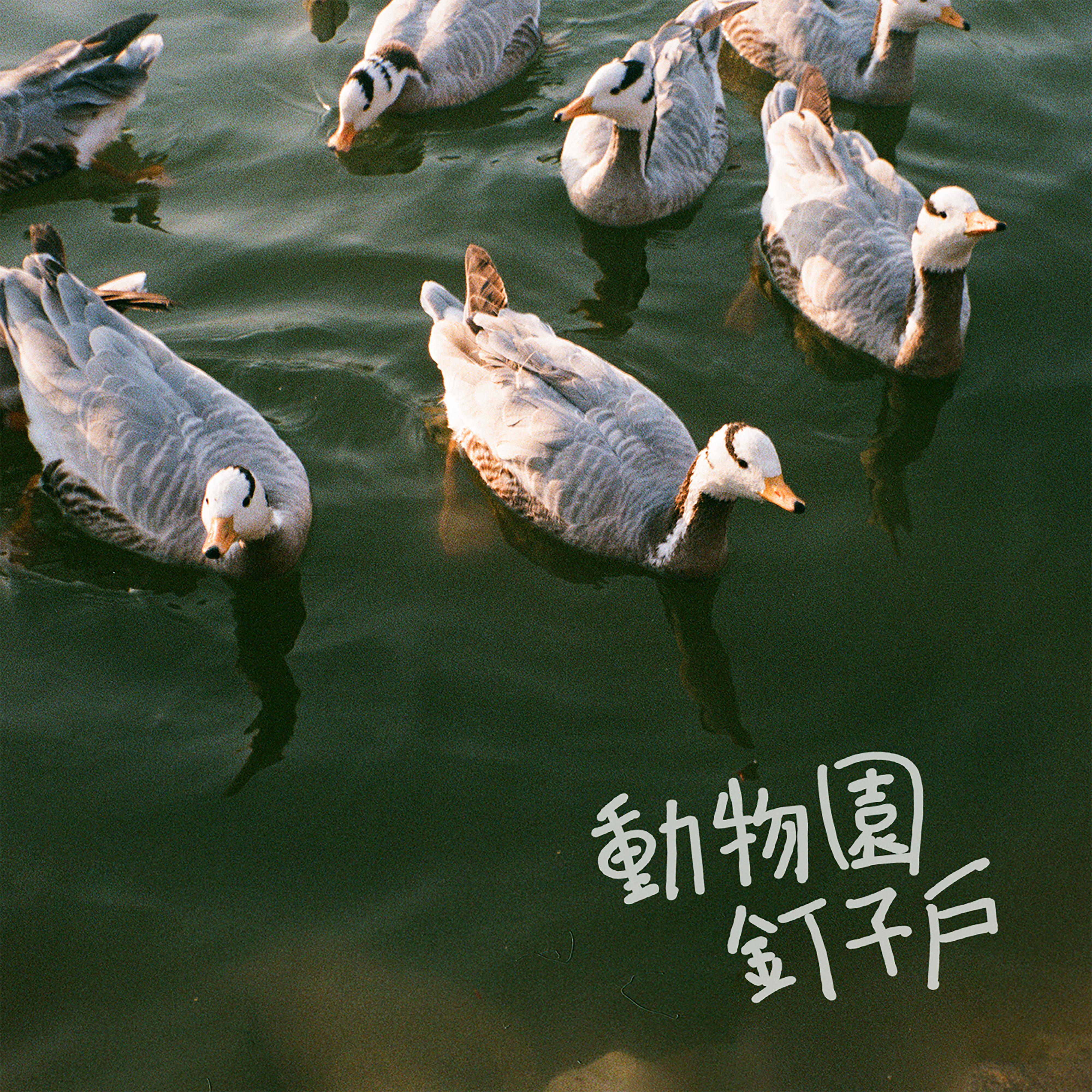 song-img
