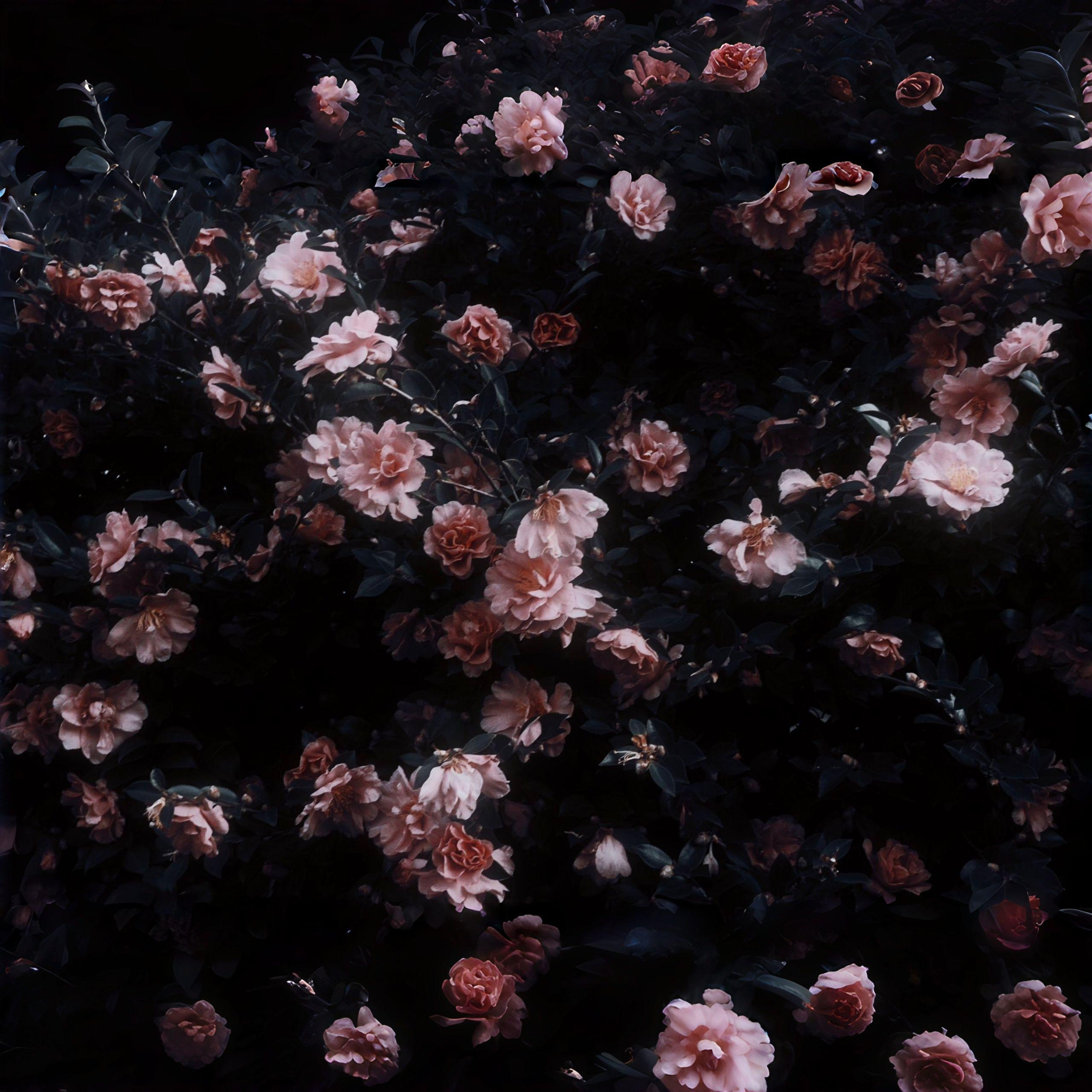 恋花余白 ～ What Remains – Inst.