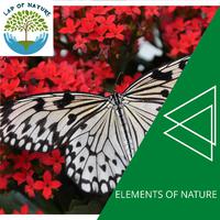 Elements of Nature